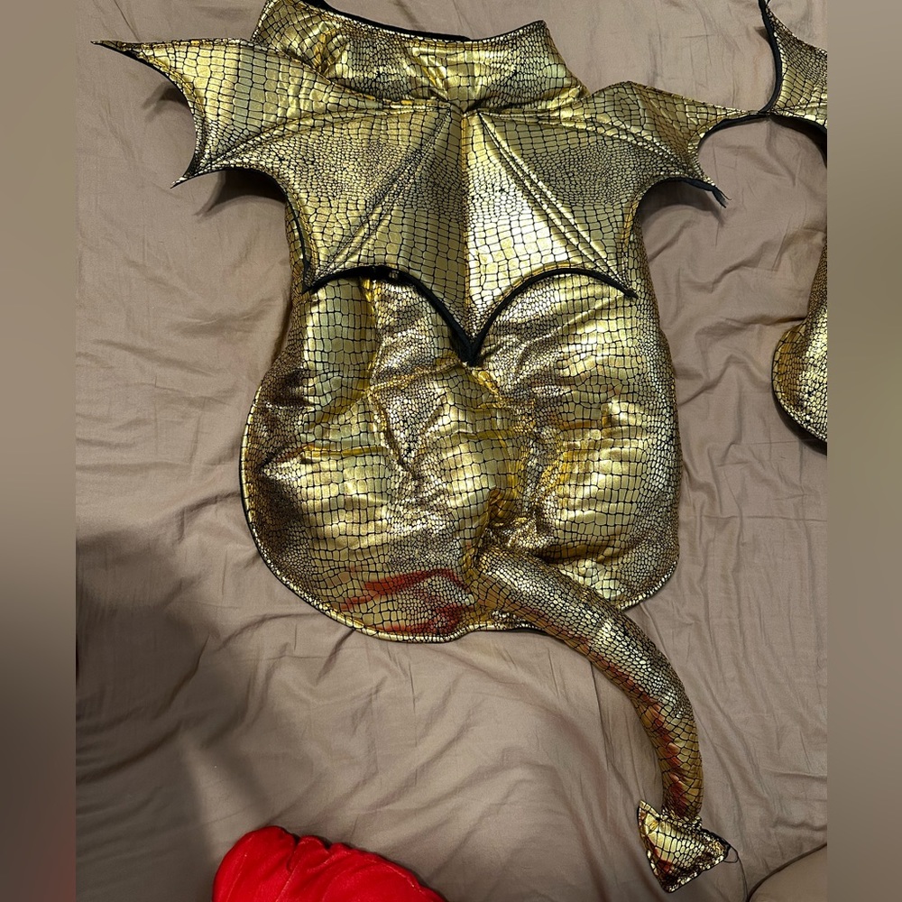 Dog Dragon Costume (Lrg)